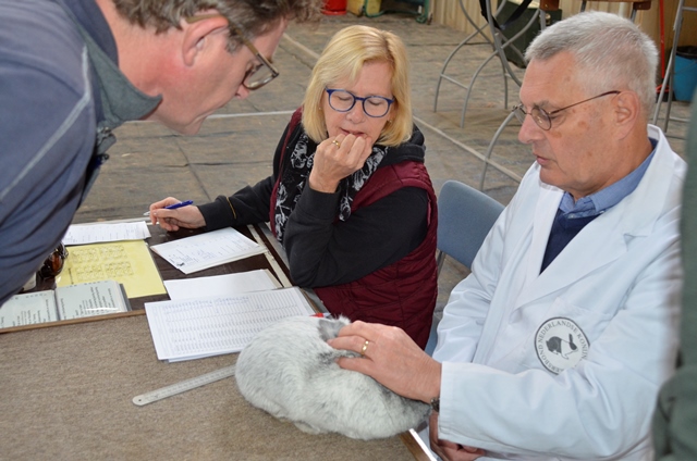 Anny en Pieter-Jan kijken aandachtig toe.